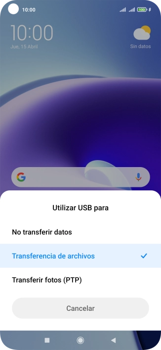 Pulsa Transferencia de archivos.