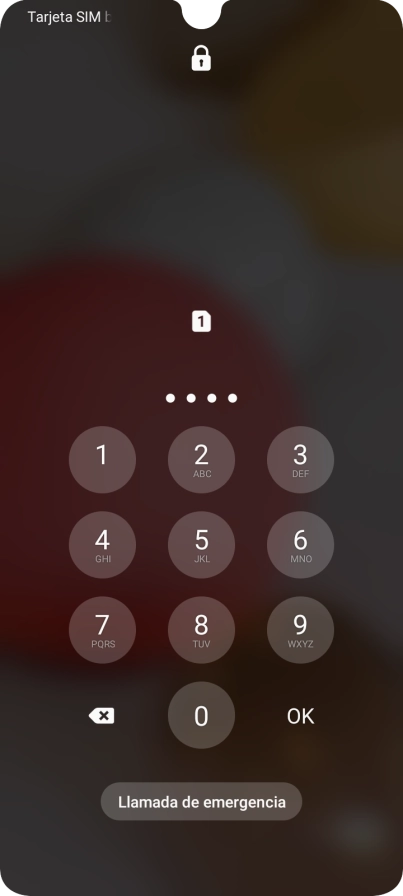 Si lo solicita el teléfono, introduce el código PIN y pulsa OK.