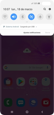 Pulsa Sistema Android.