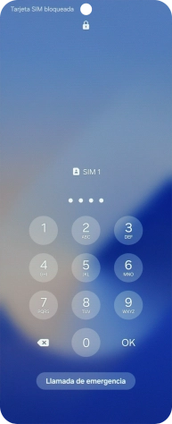 Si lo solicita el teléfono, introduce el código PIN y pulsa OK.