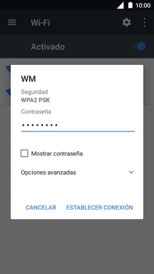 Introduce la contraseña de la red wifi y pulsa ESTABLECER CONEXIÓN.