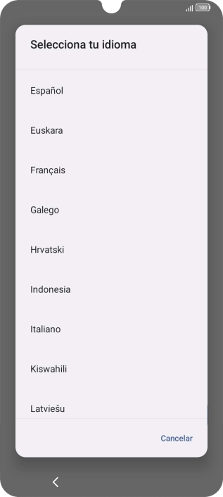 Pulsa el idioma deseado.