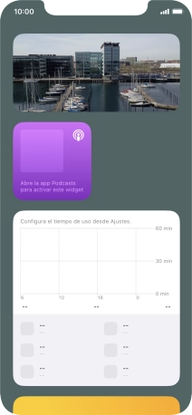 Pulsa el grupo de widgets deseado durante unos instantes.