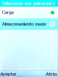 Selecciona Almacenamiento masivo.