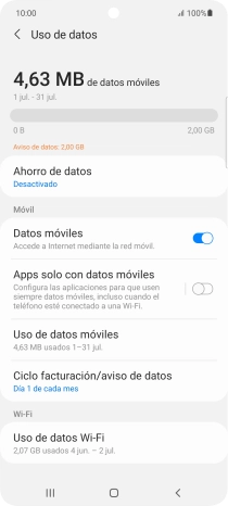 El consumo total de datos se visualiza ahora en la pantalla.