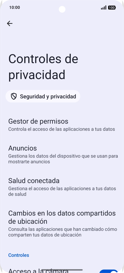Pulsa Gestor de permisos.