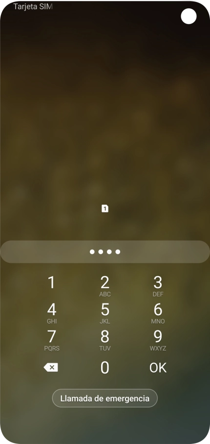 Si lo solicita el teléfono, introduce el código PIN y pulsa OK.