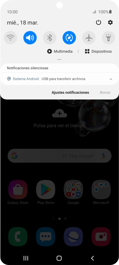 Pulsa Sistema Android.