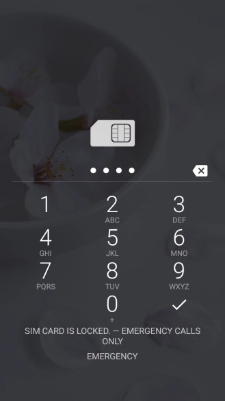 Si lo solicita el teléfono, introduce el código PIN y pulsa el icono de aceptar.