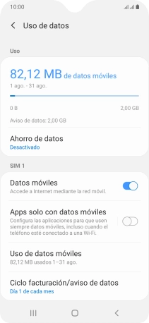 El consumo total de datos se visualiza ahora en la pantalla.