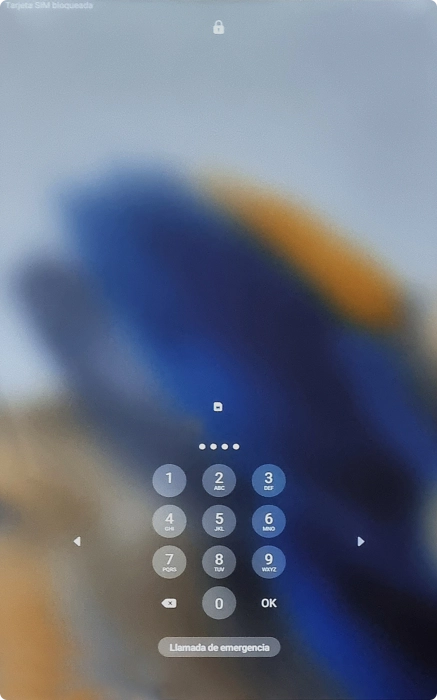 Si es necesario desbloquear la tarjeta SIM, introduce el código PIN y pulsa OK.