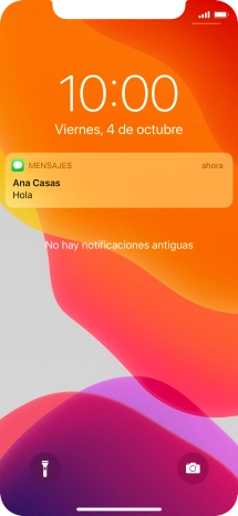 Pulsa la notificación deseada y sigue las indicaciones de la pantalla para utilizar la función seleccionada.