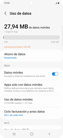 El consumo total de datos se visualiza ahora en la pantalla.