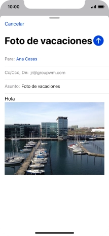 Pulsa el icono de enviar.