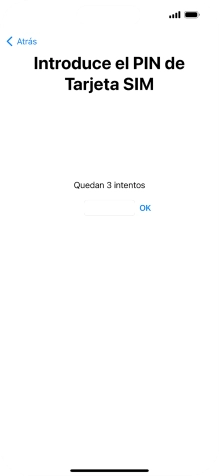 Si es necesario desbloquear la tarjeta SIM, introduce el código PIN y pulsa OK.