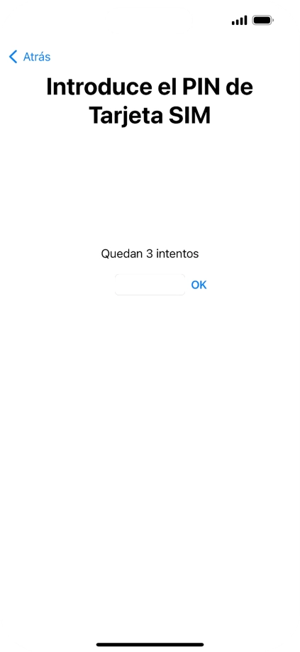 Si es necesario desbloquear la tarjeta SIM, introduce el código PIN y pulsa OK.