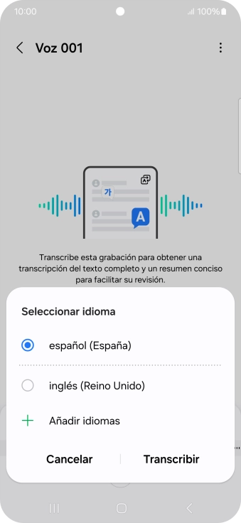 Pulsa el idioma de la grabación.