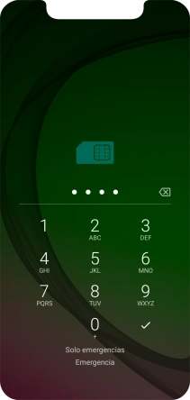 Si lo solicita el teléfono, introduce el código PIN y pulsa el icono de aceptar.
