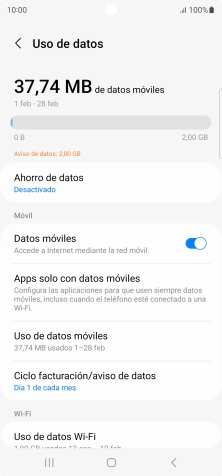 El consumo total de datos se visualiza ahora en la pantalla.