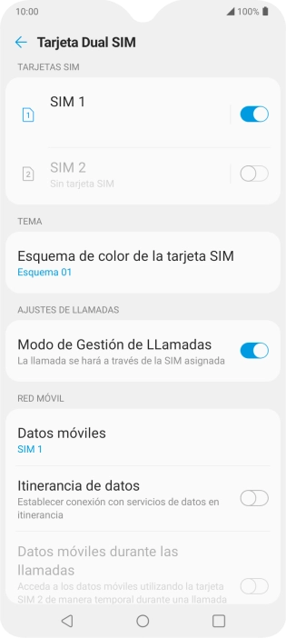 Pulsa Itinerancia de datos.