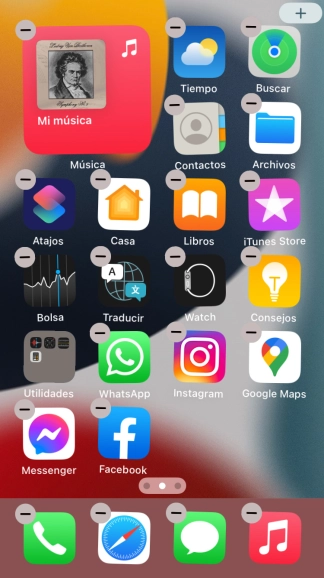 Pulsa la tecla de inicio.