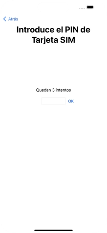 Si es necesario desbloquear la tarjeta SIM, introduce el código PIN y pulsa OK.