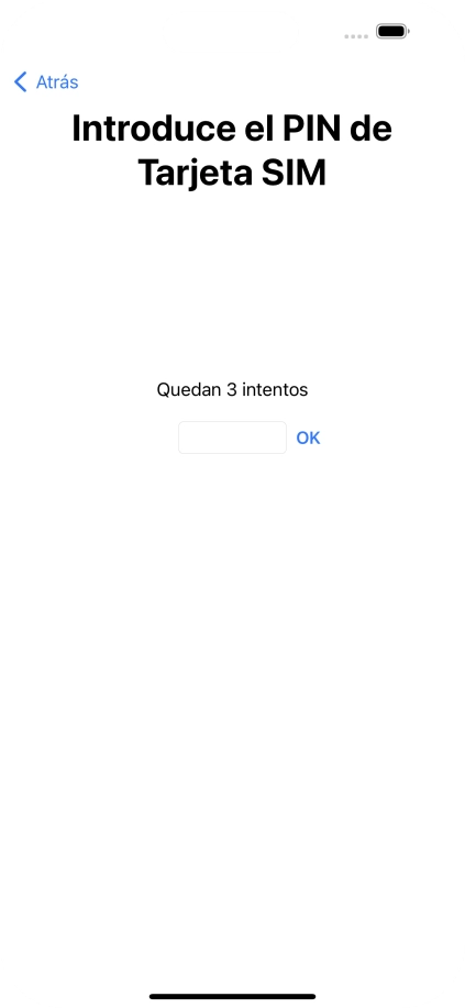 Si es necesario desbloquear la tarjeta SIM, introduce el código PIN y pulsa OK.