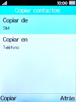 Selecciona Copiar en.