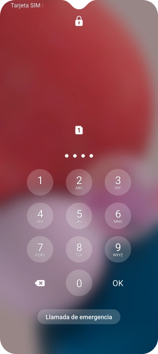 Si lo solicita el teléfono, introduce el código PIN y pulsa OK.