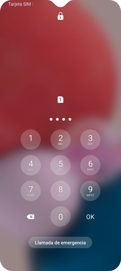 Si lo solicita el teléfono, introduce el código PIN y pulsa OK.