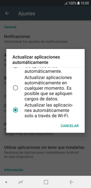 Para activar la actualización automática de apps a través de wifi, pulsa Actualizar las aplicaciones automáticamente a través de Wi-Fi..