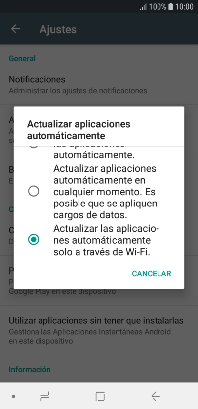 Para activar la actualización automática de apps a través de wifi, pulsa Actualizar las aplicaciones automáticamente a través de Wi-Fi..