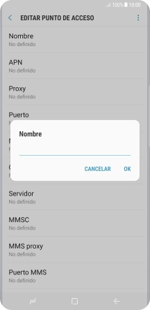 Introduce Vodafone Internet y pulsa OK.
