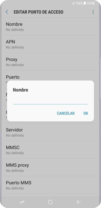 Introduce Vodafone Internet y pulsa OK.