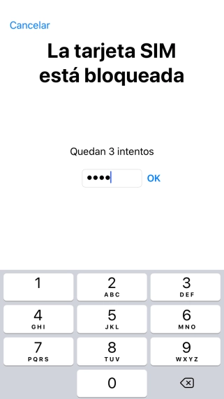 Si es necesario desbloquear la tarjeta SIM, introduce el código PIN y pulsa OK.