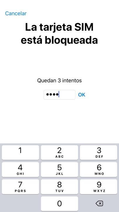Si es necesario desbloquear la tarjeta SIM, introduce el código PIN y pulsa OK.