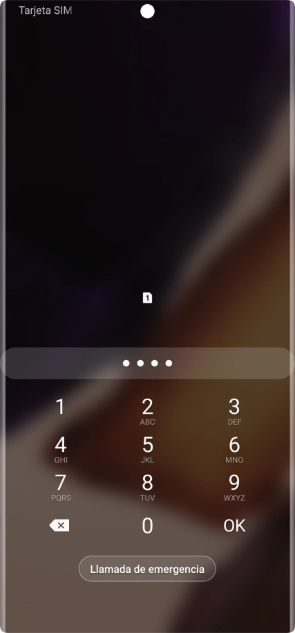 Si lo solicita el teléfono, introduce el código PIN y pulsa OK.