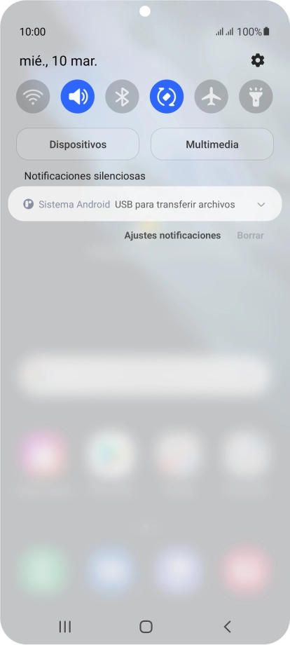 Pulsa Sistema Android.