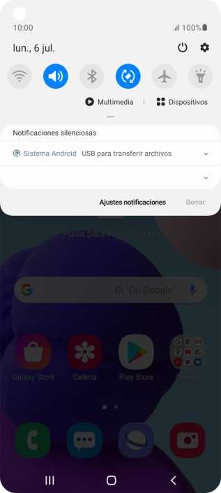 Pulsa Sistema Android.