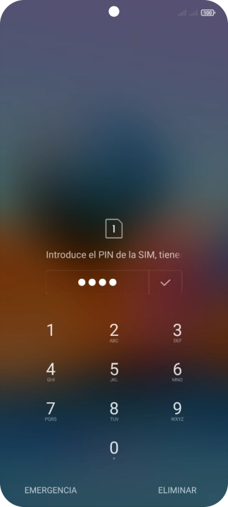 Si lo solicita el teléfono, introduce el código PIN y pulsa el icono de aceptar.