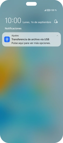 Pulsa Pulse aquí para ver más opciones..