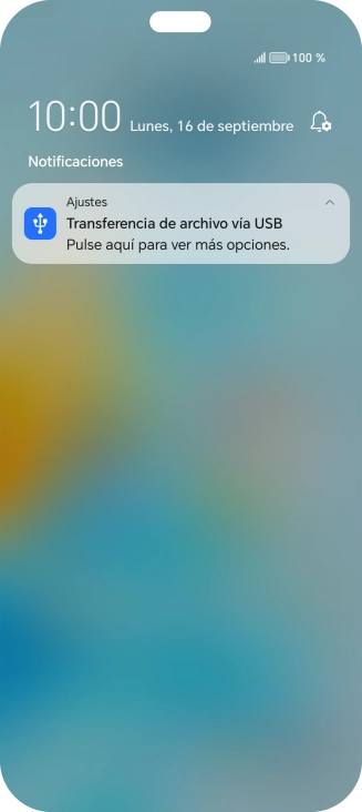 Pulsa Pulse aquí para ver más opciones..