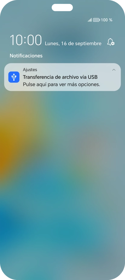 Pulsa Pulse aquí para ver más opciones..