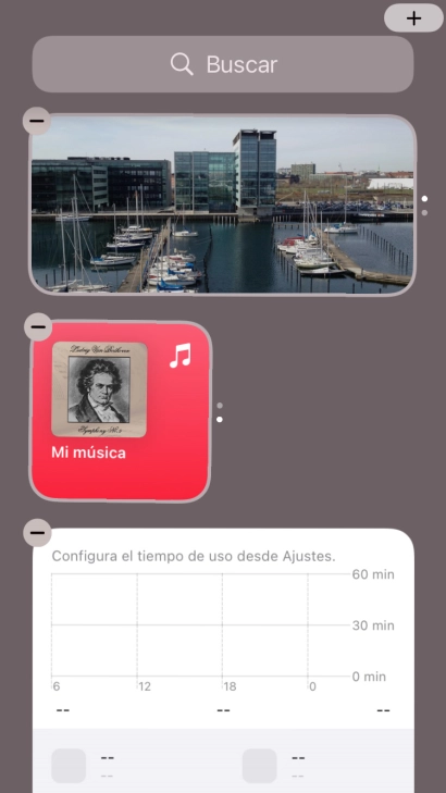 Pulsa la tecla de inicio.