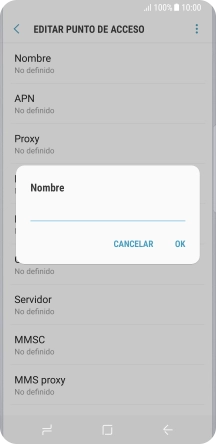 Introduce Vodafone Internet y pulsa OK.