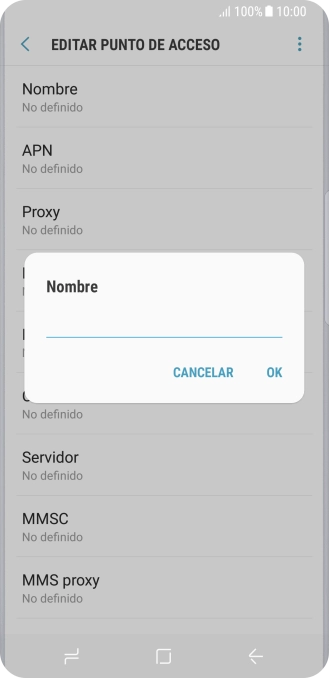 Introduce Vodafone Internet y pulsa OK.
