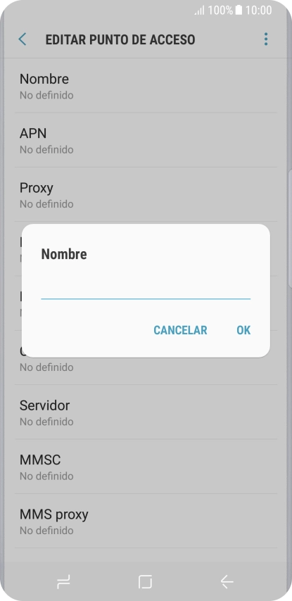 Introduce Vodafone Internet y pulsa OK.