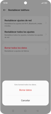 Pulsa Borrar datos.