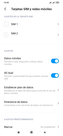Pulsa Itinerancia de datos.