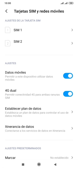 Pulsa Itinerancia de datos.